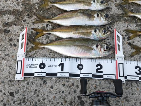 ニュータックルのシェイクダウン