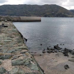 初場所アジングは…