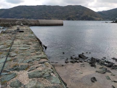 初場所アジングは…