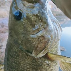最高の釣り納め
