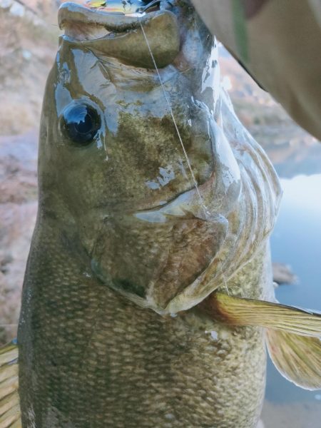 最高の釣り納め