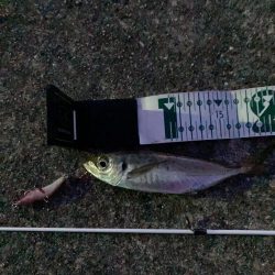 フラッシングフックをアジングで!