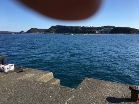 アイゴ、メッキ