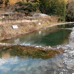 芥川マス釣り場