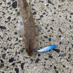 堤防でライトなショアジギングにRIDE ON!