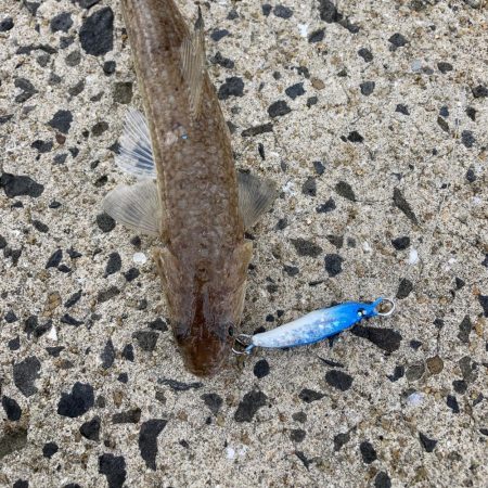 堤防でライトなショアジギングにRIDE ON!