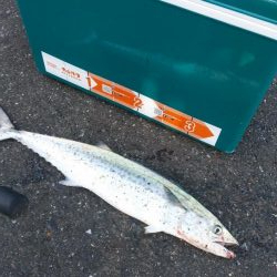 舞鶴～宮津ランガン