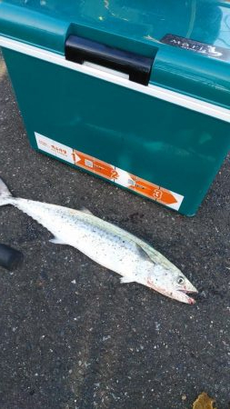 舞鶴～宮津ランガン