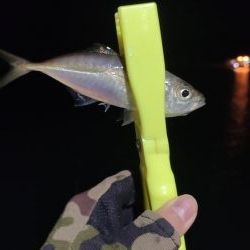 洲本アジメバリング