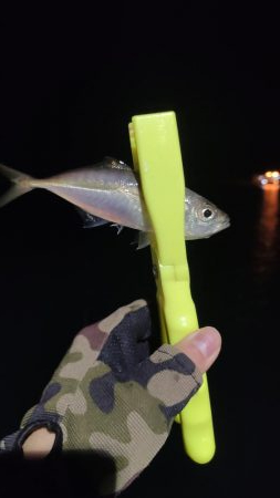 洲本アジメバリング