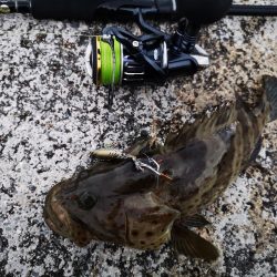 長雨の隙間に釣果