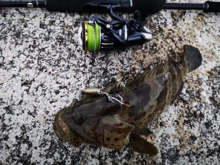 長雨の隙間に釣果