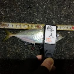 (2020/12/09 南港アジング 好釣果!アジング釣果 中アジ~(27㎝~) 釣果有り)