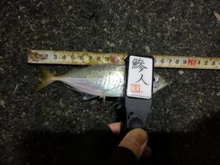 (2020/12/09 南港アジング 好釣果!アジング釣果 中アジ~(27㎝~) 釣果有り)
