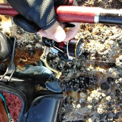 フカセ‥最高ですネ・・