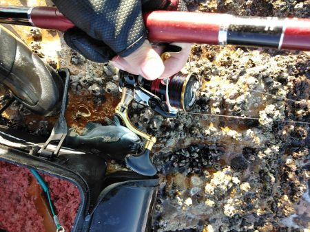 フカセ‥最高ですネ・・