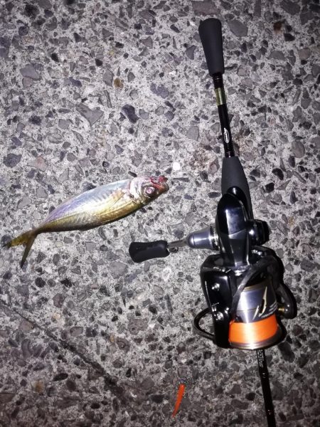 ジグ単アジング