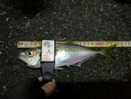 （2020/12/11 南港アジング　 続…