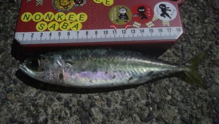 釣りデビュー 21日目