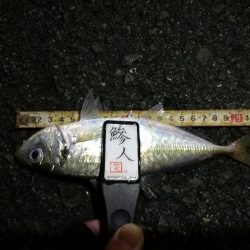 （2020/12/20 南港アジング釣果　 ついに釣れた！ 尺アジ 30㎝～ 釣果有り）