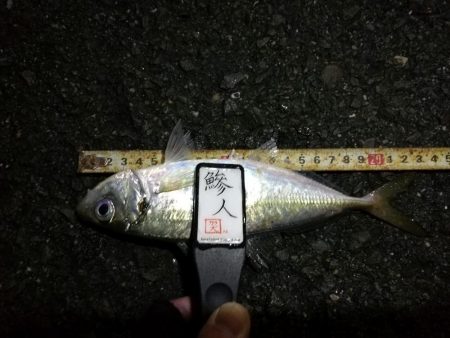 （2020/12/20 南港アジング釣果　 ついに釣れた！ 尺アジ 30㎝～ 釣果有り）