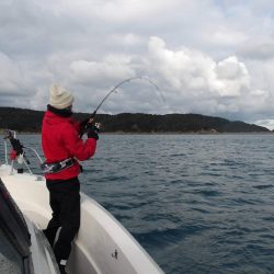 遊漁船SOUTH(サウス)釣果