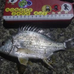 ㊗釣りデビュー　30日目