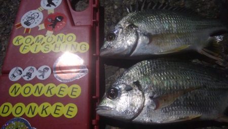 釣りデビュー 32日目