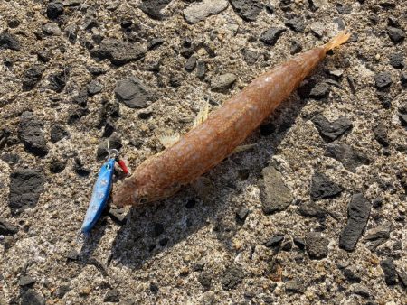 グライドロールでライドオン！！