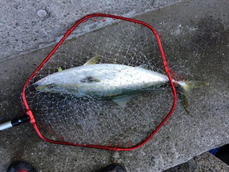 早朝プチsalt water game