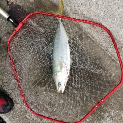 朝一プチsalt water game！