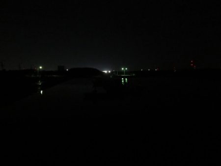 海の年末釣行は貧果だった・・・