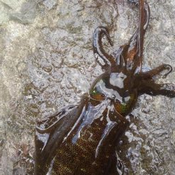 荒れています❗