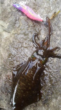 荒れています❗