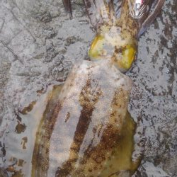 やっちまった～