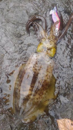 やっちまった～