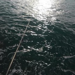 年内最後かなぁ？