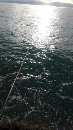 年内最後かなぁ？