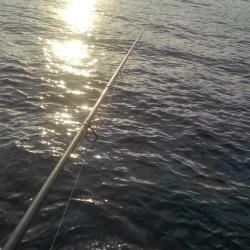 年末最後のあがき❗