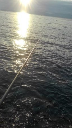 年末最後のあがき❗