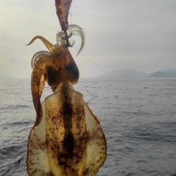 令和2年最後のエギング‼️