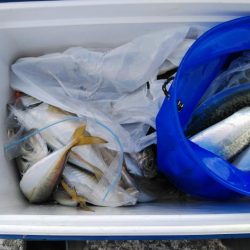 子供と釣り納め