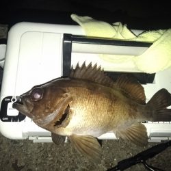 フロートゲーム