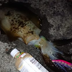 初キロアップならず