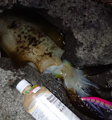 初キロアップならず