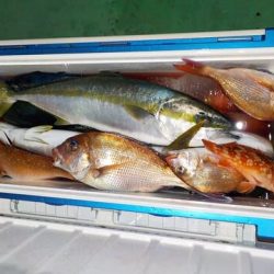 第二むつ漁丸 釣果