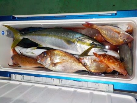 第二むつ漁丸 釣果