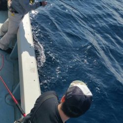 第五慶門丸 釣果