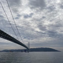 釣り納め　正月用の鯛