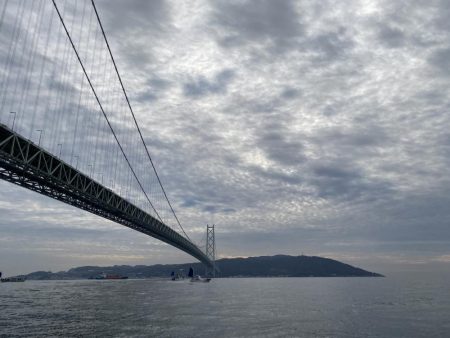 釣り納め　正月用の鯛